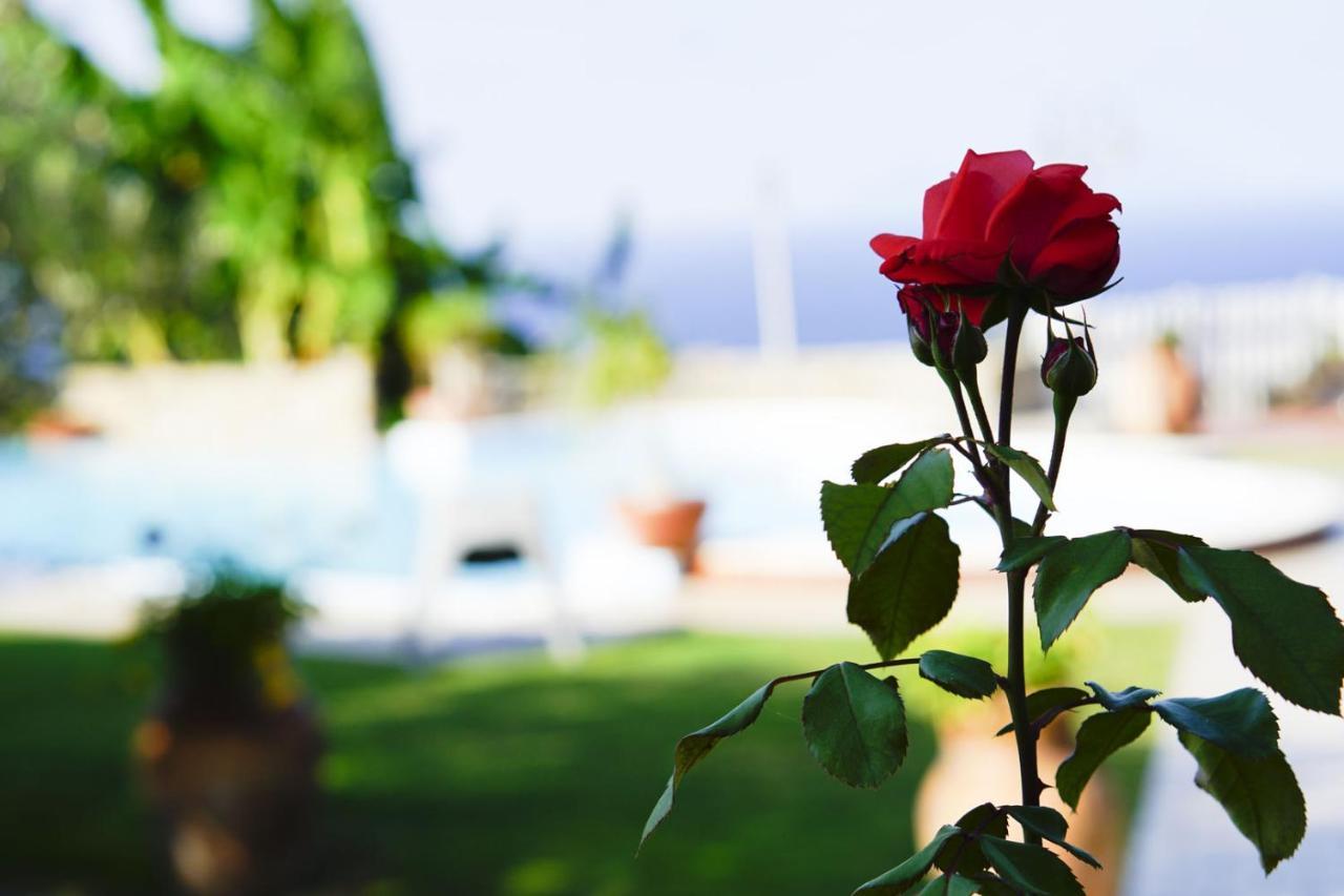 B&B Villa Bency Capo dʼOrlando Exterior foto
